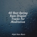 Relaxamento、Hipnose Natureza Sons Coleção、Binaural Beats Brain Waves Isochronic Tones Brain Wave Entrainment - Rain Drops