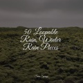 Pro Sound Effects Library、Ambient Nature Project、Regen - Rain, Light Metal, Window Pane