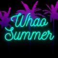 R1ko Demasiado Whao、R&S Music - Whao Summer