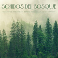 Reiki Consorte de Curación、Meditación Trascendental、Pajaros Exoticos - Naturaleza Inspiradora