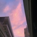 小玉米 - 阿拉斯加海湾