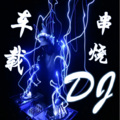 咸鱼娃娃 - 等我把我养的人养大 (DJ串烧版)