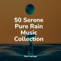 Natureza Musica Bem-Estar Academia、SleepTherapy、Regen - Flowing Rains