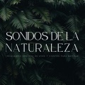 Mantra para Meditar、Meditación Con Ruido Blanco、Siente El Clima - Pensamientos