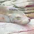 Deep Sleep Relaxation - Whispers Of Night