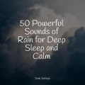 Spa Music Collective、Sleepy Times、Meditation Rain Sounds - Seagulls on the Beach