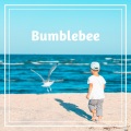 Jarico、Harbi、Aleson - Bumblebee