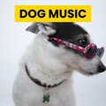 Sleepy Dogs、Cat Music、Dog Music - Kitty