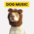 Sleepy Dogs、Cat Music、Dog Music - Lovely Backdrops for Funny Felines