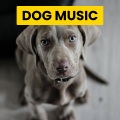 Sleepy Dogs、Cat Music、Dog Music - Smoky The Happiest Dogs