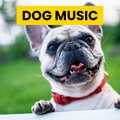 Sleepy Dogs、Cat Music、Dog Music - Subdued Moods for Morning Barking