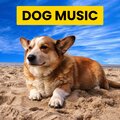 Sleepy Dogs、Cat Music、Dog Music - Hachi