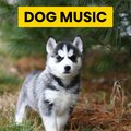 Sleepy Dogs、Cat Music、Dog Music - Stress Relieving Tunes for Kitten Naps