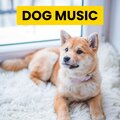 Sleepy Dogs、Cat Music、Dog Music - Calm Dog
