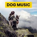 Sleepy Dogs、Cat Music、Dog Music - Relaxing Crickets