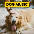 Sleepy Dogs、Cat Music、Dog Music - Soft Piano