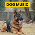 Sleepy Dogs、Cat Music、Dog Music - River Gutter