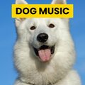 Sleepy Dogs、Cat Music、Dog Music - Smoky Saxophone Jazz - Vibe for A Resting Hound