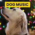 Sleepy Dogs、Cat Music、Dog Music - Fun Ambiance for The Happiest Dogs