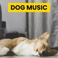 Sleepy Dogs、Cat Music、Dog Music - My Best Pal