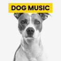 Sleepy Dogs、Cat Music、Dog Music - Chirps Creek