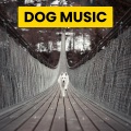 Sleepy Dogs、Cat Music、Dog Music - Extraordinary The Happiest Dogs