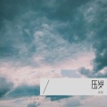 庄恕 - 爱太难