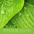 Sonidos de Cascadas、Estudio Brillante、Ambiente de Tormenta - Lluvia y Estrellas