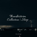 White Noise For Baby Sleep、Baby Sleep Music、Guided Meditation Music Zone - Forest, Cicadas, Light Wind