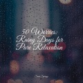 Sleep Recording Sounds、Tranquility Spa Universe、Relaxation Sleep Meditation - Fire Kindling