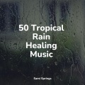 Musica para Massagem Especialistas、Nature Ambience、Best Relaxing Spa Music - Beautiful Bird Song