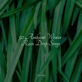 Rain Sounds ACE、Relaxation Personal Guru、Rainfall For Sleep - Creek, Forest, Birds