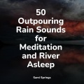 Fresh Water Sounds for Inner Peace、Zarobi、Chakra Meditation Universe - Birds in the Night