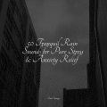 Yoga Soul、Study Music、ambient arena - Cozy Campfire