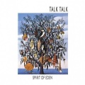 Talk Talk - The Rainbow