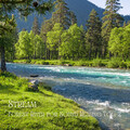 Soul Healer、Mind of Peace、741Hz Energy Orbiting Manifest Healing - Rocky Flowing River Stream
