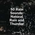 Rain Sounds & White Noise、Shakuhachi Sakano、Entspannungsmusik Meer - Water, Creek, Stream, Birds