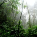 Yoga Soul、Guided Meditation Music Zone、Asian Zen: Spa Music Meditation - Rest of Meandering Minds