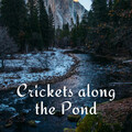 Relaxing Music Playlist、Relaxing Nature Recordings、Real Massage Music Collection - Breathing Therapy Music