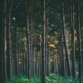 Natureza Musica Bem-Estar Academia、Entspannungsmusik、Alpha Brain Waves - Mist in the Window