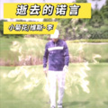 维斯李 - 逝去的诺言