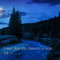 cloudy night、Dog Total Relax、Perfect Meditation - Relax Over the River