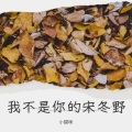 不爱吃鱼的猫 - 我不是你的宋冬野