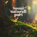 Zona pura di suoni naturali - Alleviare lo stress