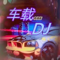 郝鸽 - 【车载DJ串烧】VOL 005夜色2017+爱情就像一出戏