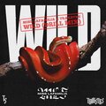 Miss Lafamilia、Trakstrs - Wild (Trakstrs Remix|Explicit)