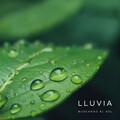 Sonidos De Tormentas、La Naturaleza Del Sueño、Sonidos De Lluvia - Punto Hipnótico