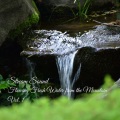 Easy Listening Background Music、Relaxing Asian Spa Music、Baby Shushing - Sleep by the River