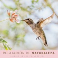 Sonido Del Bosque y Naturaleza、Latidos Binaurales Ondas Alfa、Naturaleza Sonidos - Naturaleza En Tranquilidad