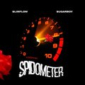 Sugar Boy、Slimflow - Spidometer (feat. Sugarboy)